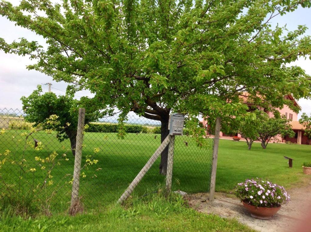 Agriturismo Podere Cirene ริสเปสเชีย ภายนอก รูปภาพ